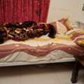 BHD 12,  SINGLE BED WITH MATRESS