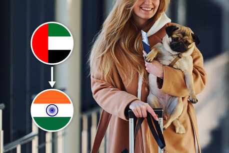 Ghaziabad, Education, Best Overseas Study Consultants In Delhi