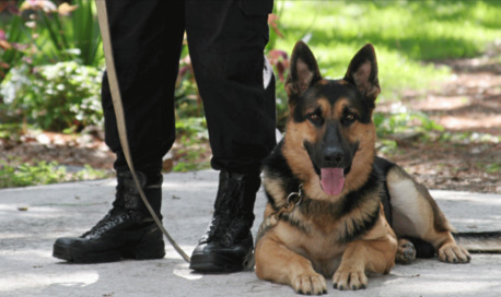 Malta, Security, Target Security Group: Your Safety, Our Personal Commitment