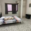 SAR 1200/month,  1 BR,  SAR 1200/month, 1 Separate Bachelor Bed Room For Rent