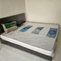 SAR 600,  New Bed With Medicated Mattress For Sales