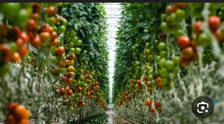 Riyadh, Business Partners, Looking For Investor / Partner