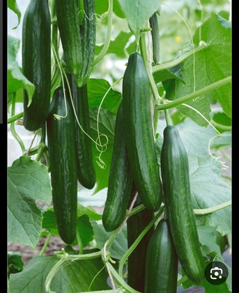 Riyadh, Business Partners, Looking For Investor / Partner