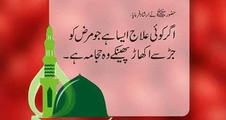 Riyadh, Health & Beauty Items, Hijama Cupping Therapy Riyadh Home Service