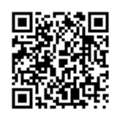 I.T Admin, Webmaster, DC, PC Operator, Jr Accountant, Jr LO, Low Current Engr
