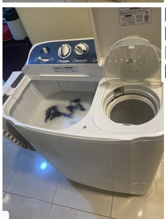 Khobar, Appliances, SAR 250,  LG Washing Machine 5.0 Kg Manual Twin Tub With Spin Dry