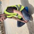 HSE Officer