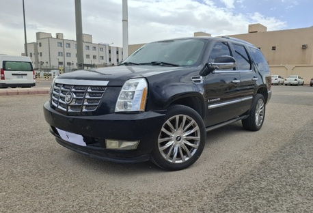 Al Hamra, Vehicles, Cars & Trucks , SAR 33000,  Cadillac Escalade,  2008,  Automatic,  310000 KM,    Royal Edition Very Clean