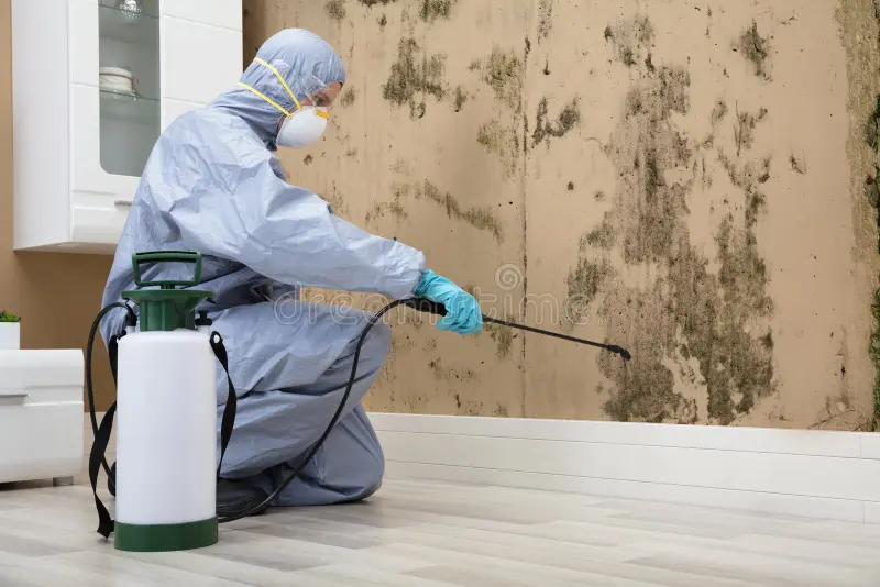Manama, Pest Control, Pest Control Services