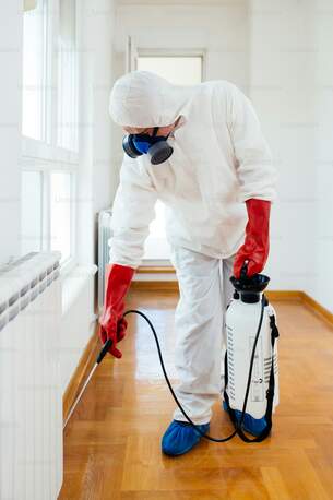 Manama, Pest Control, Pest Control Services