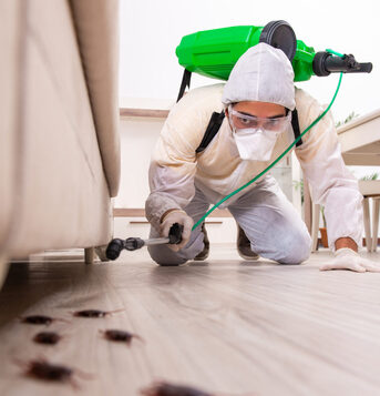 Manama, Pest Control, Pest Control Services