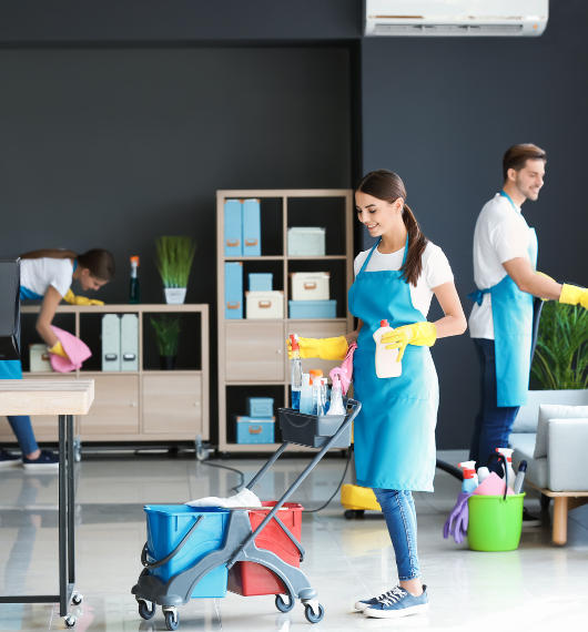 Manama, Cleaning, Professional Cleaning All Categories