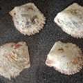 BHD 20,  For Sale Natural Oysters