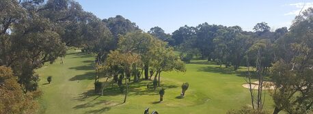 Sydney, Business, Soft Landscaping Services In Sydney | Ben