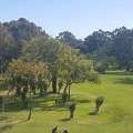 Soft Landscaping Services In Sydney | Ben's Tree And Garden Services