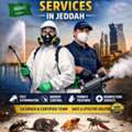 Best Pest Control In Jeddah &ndash; Fast, Safe & Affordable | Call Now