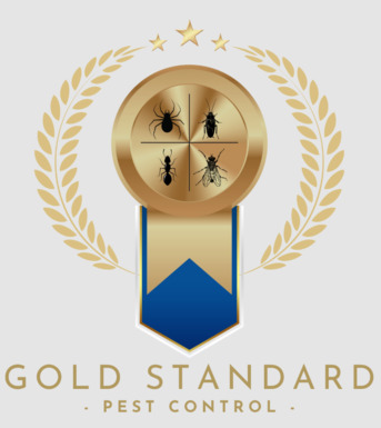 New York, Pest Control, Count On Gold Standard Pest Control For Pest-Free Living In TX!