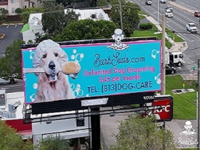 New York, Pet Sitting, Gentle Care For Happy Pets