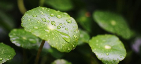 Dubai, Health & Beauty Items, Ayurvedic Hospital In Dubai