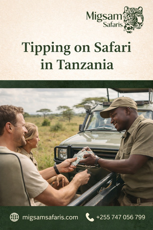 Dar es Salaam, Travel, Tipping On Safari In Tanzania &ndash; Simple Guide For Travelers
