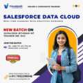 Salesforce Data Cloud Training Online &ndash; Batch Starts April 22!