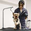 Hydro Massage Pooping Bath Garnet Valley