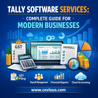 Noida, Computer, Tally Software Services: Complete Guide For Modern Businesses