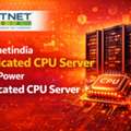 Hostnetindia Dedicated CPU Server High Power Dedicated CPU Server