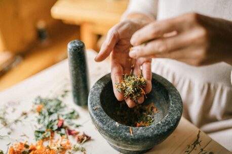 New York, Health, Natural Healing With Plant Wisdom Therapy Loomis | Auburn Wellness