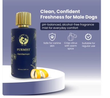 Gurgaon, Pet Sitting, Less Baths. More Gentleman.