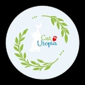 Surrey, Pet Sitting, Cat Utopia
