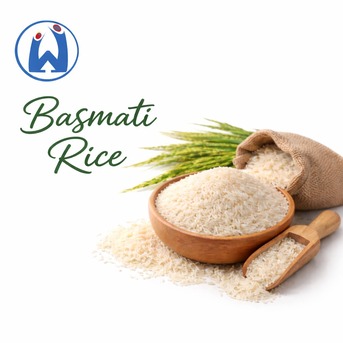 Mumbai, Wholesale Products, Rice Suppliers In Maharashtra