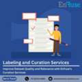 Improve Dataset Quality And Relevance With EnFuse&rsquo;s Curation Services