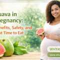 Guava In Pregnancy: Benefits, Safety, Side Effects & Best Time To Eat For Expecting Mother