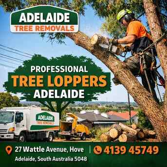 Sydney, Farm/Garden, Safe Tree Care And Professional Tree Loppers Adelaide Services