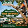 Safe Tree Care And Professional Tree Loppers Adelaide Services