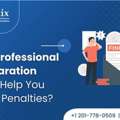Professional Tax Preparation Services To Avoid IRS Penalties