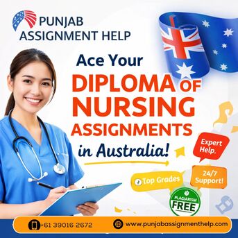 Sydney, Education, Punjab Assignment Help: You&rsquo;re Partner For Nursing Assignment Success