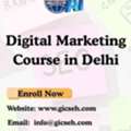 Looking For The Best Digital Marketing Course In Delhi?