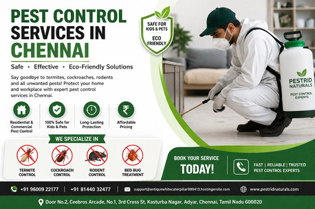 Chennai, Pest Control, Best Pest Control Chennai | Pest Rid Naturals &ndash; Eco-Friendly Pest Solutions
