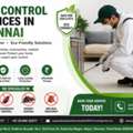 Best Pest Control Chennai | Pest Rid Naturals &ndash; Eco-Friendly Pest Solutions