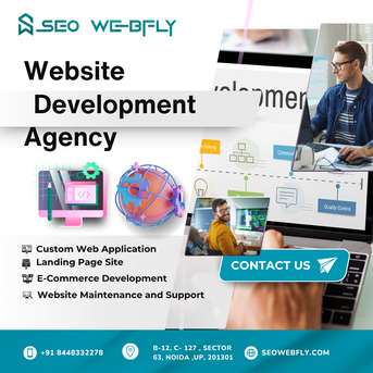 Noida, Software Development, Website Development Agencies | SEO Webfly Experts Online