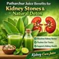INR 820,  Patharchur Juice Benefits For Kidney Stones & Natural Detox | Kidney Care Juice