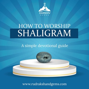 Mumbai, Business, Vishnu Laxmi Shaligram: Meaning, Benefits & पूजा Guide