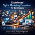 Experienced Digital Marketing Consultant For Businesses
