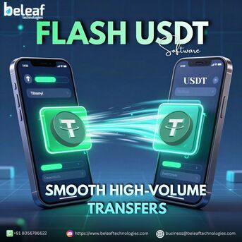 Mumbai, Software Development, Flash USDT Software For Smooth High-Volume Transfers