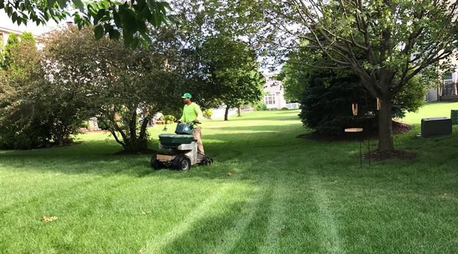 Toronto, Farm/Garden, Hire Experts For Weed Control In Red Deer &ndash; Call Now