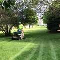 Hire Experts For Weed Control In Red Deer &ndash; Call Now