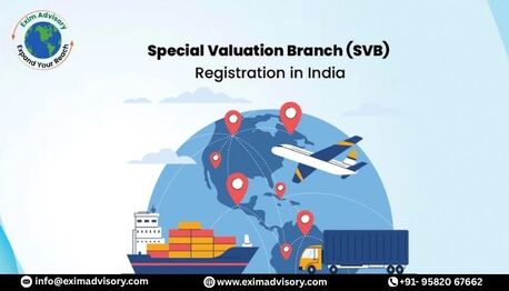 Noida, Legal, Exim Advisory Insights Into SVB Registration Process
