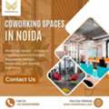 Why Are Co Working Spaces In Noida Gaining Popularity Among Startups?